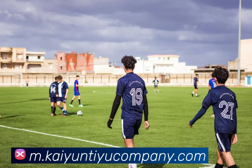 App Interface Preview