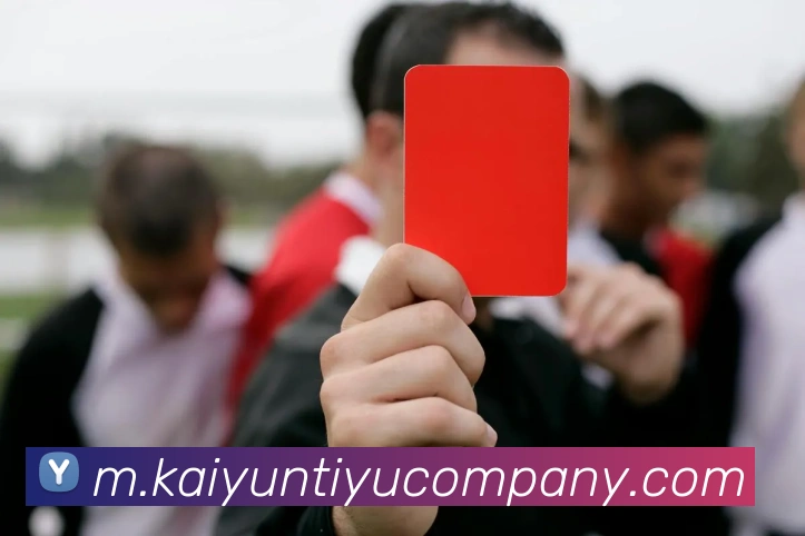 开云足球APP 封面图